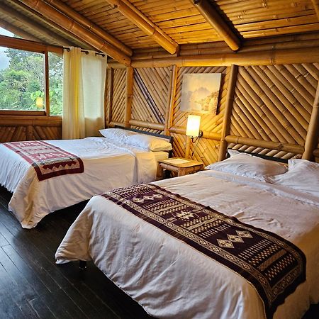 Golden Tree Mindo Eco-Lodge Εξωτερικό φωτογραφία