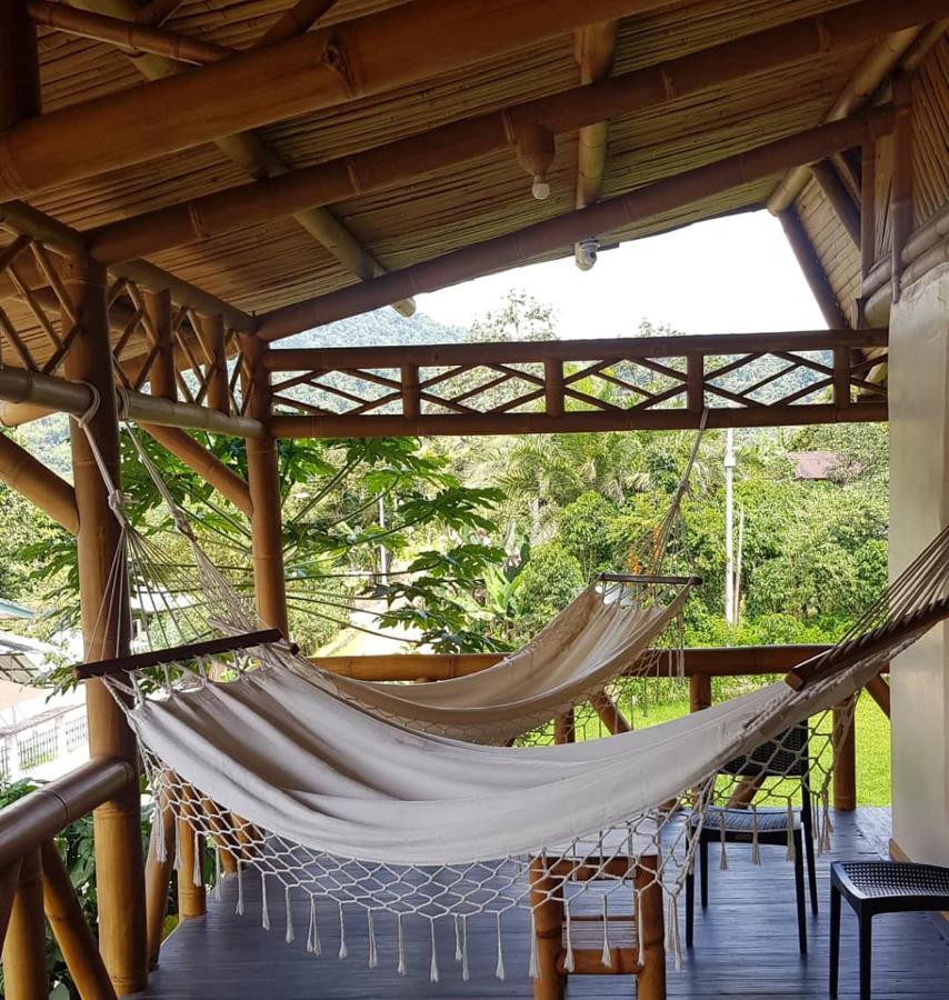 Golden Tree Mindo Eco-Lodge Εξωτερικό φωτογραφία
