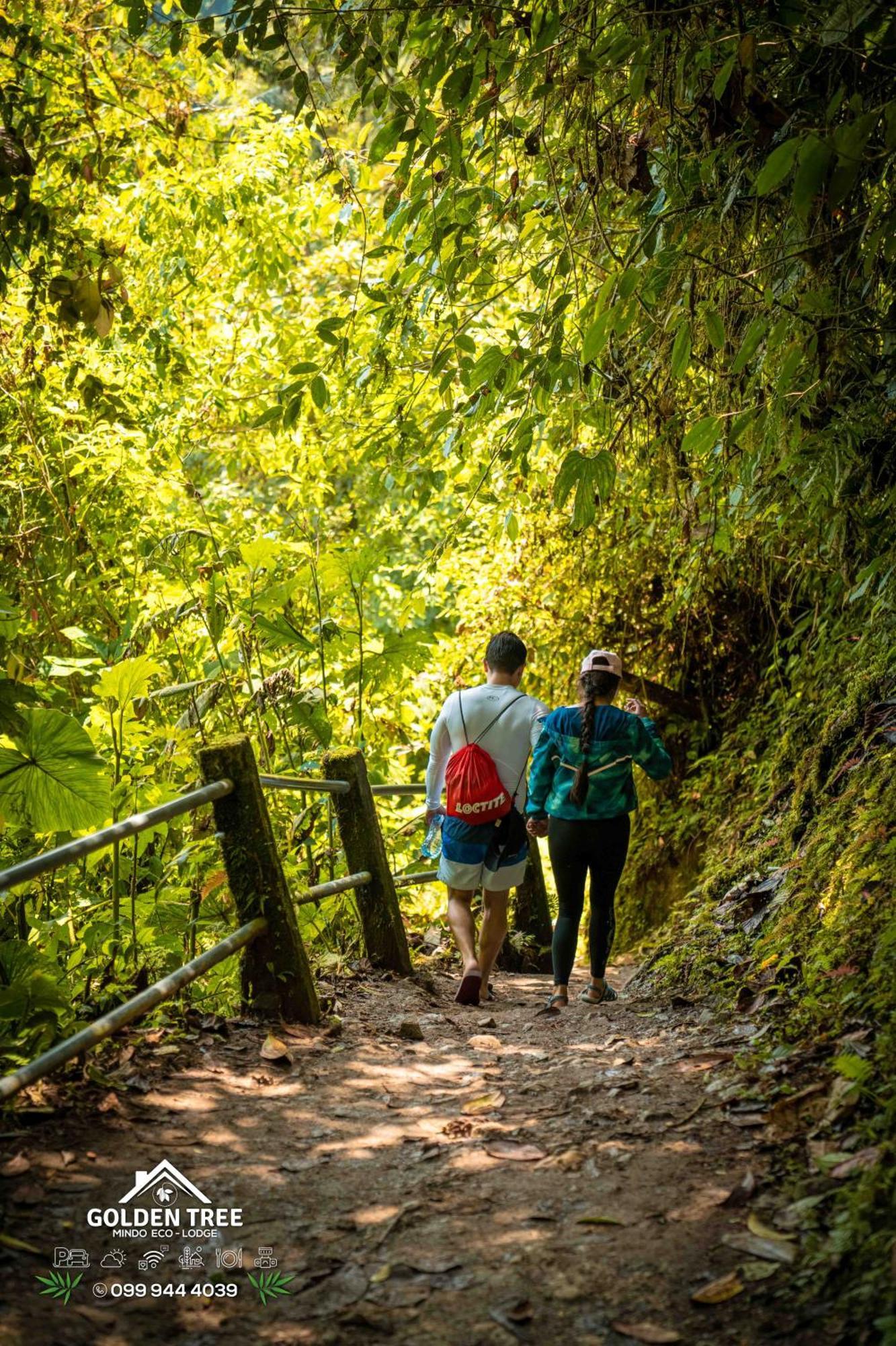 Golden Tree Mindo Eco-Lodge Εξωτερικό φωτογραφία
